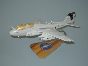 VAQ-141 Prowler EA-6B airplane model