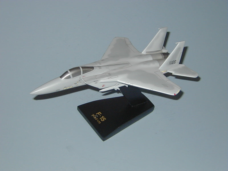 F-15 Eagle USAF model airplane