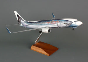 Boeing 737-800 / Alaskan Salmon