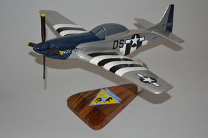 P-51 Crazy Horse model