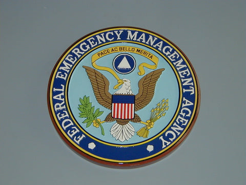 FEMA wood hand made painted wall plaque